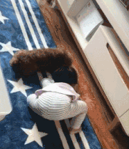 微信图片_20181227145048.gif