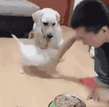 微信图片_20181227145058.gif