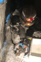 微信图片_20181227145408.gif