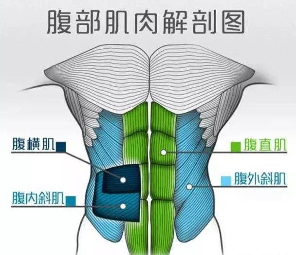 注意细节练下腹，7点建议8个动作，提高下腹训练效率，练出人鱼线